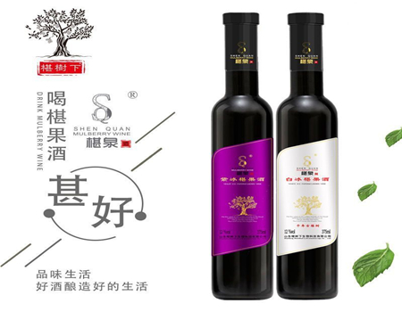 泡果酒用什么水果好？